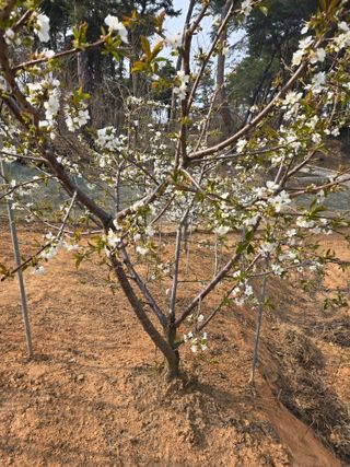 자연인님의 자유주제 · 자유게시판 작성글 사진