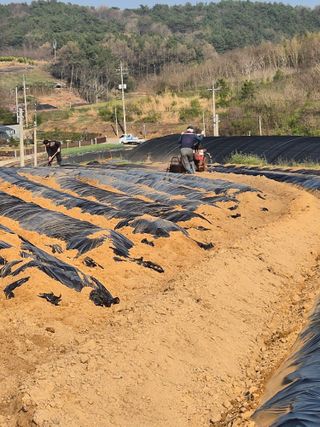 김영진(전남영광)님의 자유주제 · 자유게시판 작성글 사진