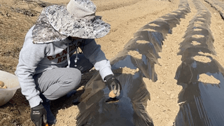 누보농장님의 자유주제 · 자유게시판 작성글 사진