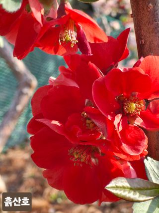 김재열님의 자유주제 · 자유게시판 작성글 사진