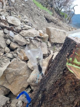 김용대님의 자유주제 · 자유게시판 작성글 사진