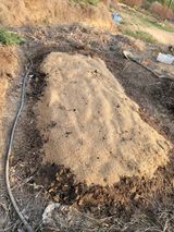 팜모닝 자유주제·자유게시판 게시글 이미지