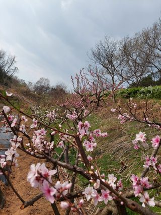 재연농장님의 자유주제 · 자유게시판 작성글 사진