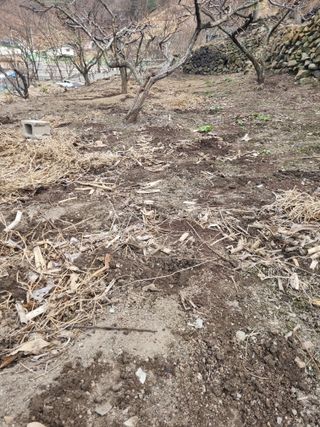 김용대님의 자유주제 · 자유게시판 작성글 사진