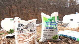 누보농장님의 자유주제 · 자유게시판 작성글 사진