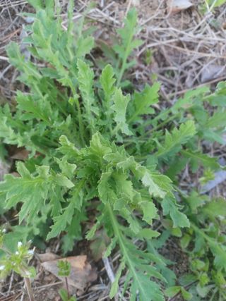 무료지식나눔 팜닥터님의 자유주제 · 자유게시판 작성글 사진