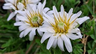 이정운님의 자유주제 · 자유게시판 작성글 사진