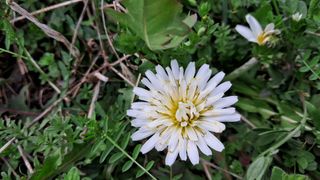 이정운님의 자유주제 · 자유게시판 작성글 사진