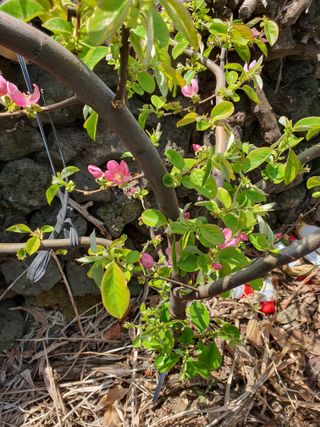 하나라도 소중하게님의 자유주제 · 자유게시판 작성글 사진