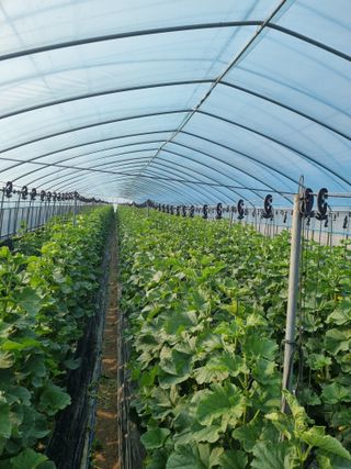 달콤한메론농장님의 자유주제 · 사진전 작성글 사진