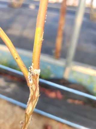 대박농부님의 자유주제 · 자유게시판 작성글 사진