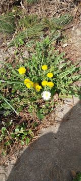 팜모닝 자유주제·자유게시판 게시글 이미지