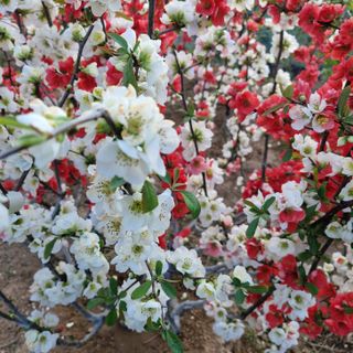 김재열님의 자유주제 · 자유게시판 작성글 사진