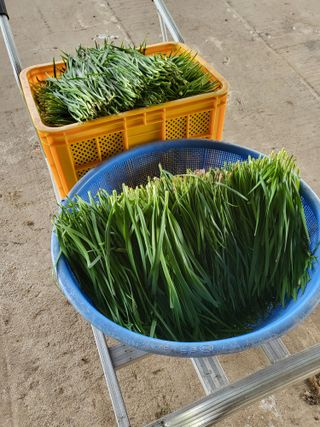 문보라님의 작성글 사진