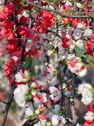 김재열님의 자유주제 · 자유게시판 작성글 사진