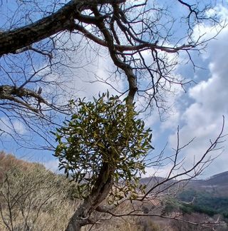 인생은 소풍처럼님의 자유주제 · 사진전 작성글 사진