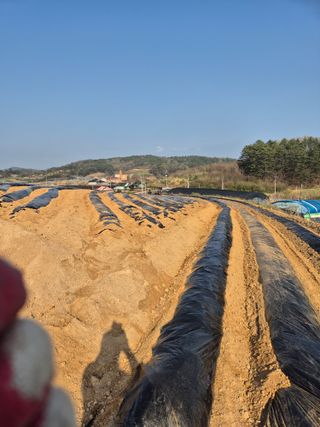 김영진(전남영광)님의 자유주제 · 자유게시판 작성글 사진
