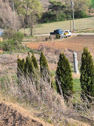 김영진(전남영광)님의 자유주제 · 자유게시판 작성글 사진