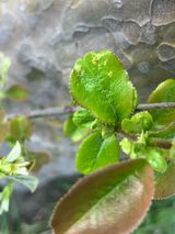 팜모닝 농사, 무엇이든 물어보세요!·참여글 게시글 이미지