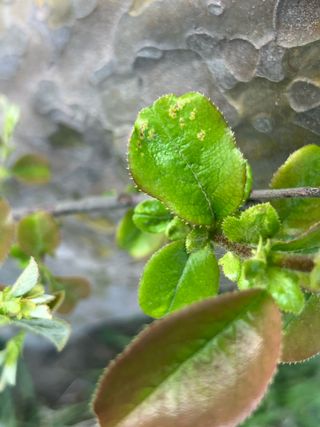 김똘숙님의 농사, 무엇이든 물어보세요! · 참여글 작성글 사진