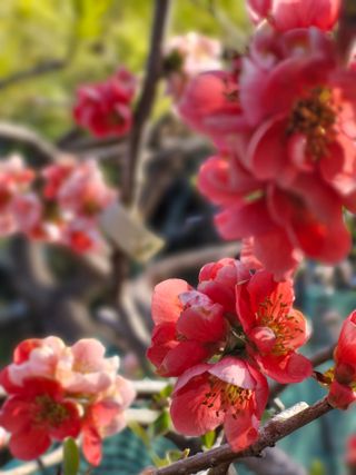 김재열님의 자유주제 · 자유게시판 작성글 사진