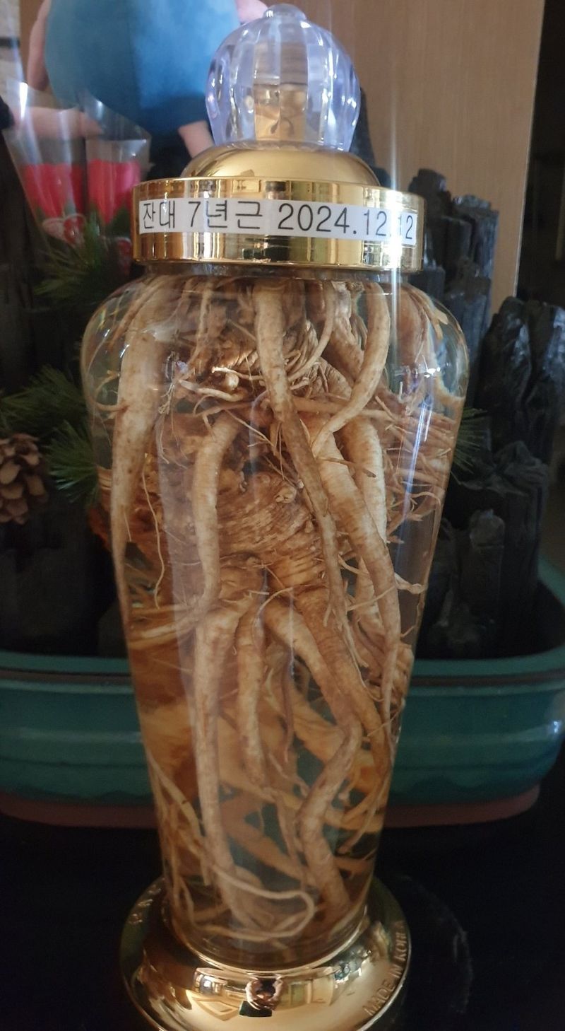 이영애 님의 장터 판매 상품 [잔대종근(모종)] 첨부 사진