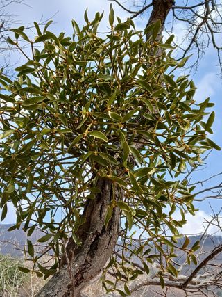 인생은 소풍처럼님의 자유주제 · 사진전 작성글 사진
