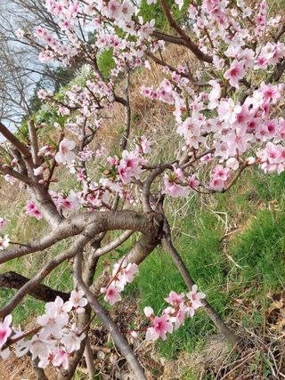 재연농장님의 자유주제 · 자유게시판 작성글 사진