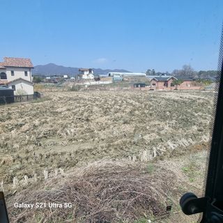 이천산수유님의 자유주제 · 자유게시판 작성글 사진