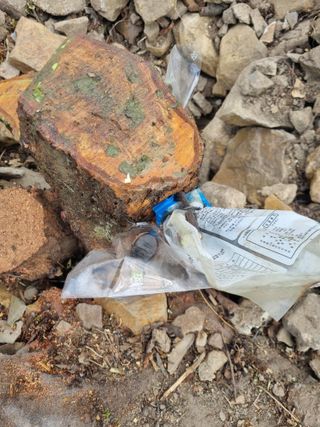 김용대님의 자유주제 · 자유게시판 작성글 사진