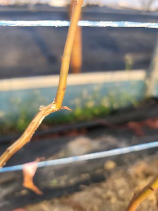 대박농부님의 자유주제 · 자유게시판 작성글 사진