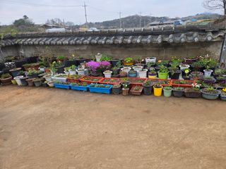 자연인님의 자유주제 · 자유게시판 작성글 사진