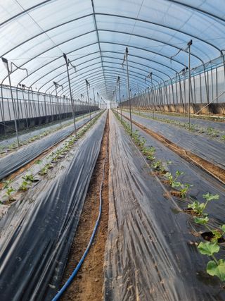 달콤한메론농장님의 자유주제 · 사진전 작성글 사진