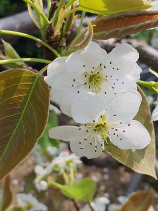 하나라도 소중하게님의 자유주제 · 자유게시판 작성글 사진