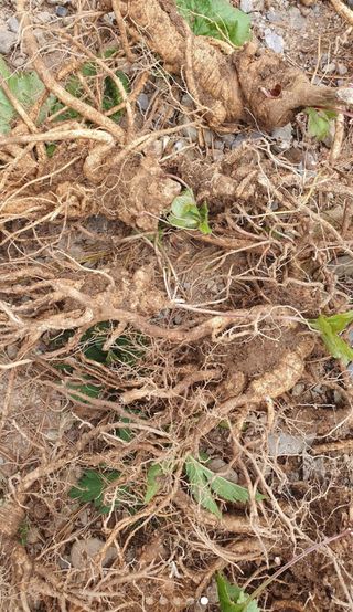 인생은 소풍처럼님의 작성글 사진