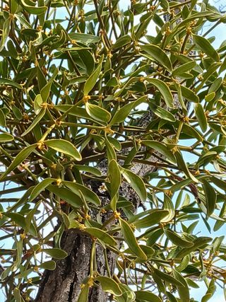 인생은 소풍처럼님의 자유주제 · 사진전 작성글 사진