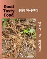 팜모닝 · 게시글 이미지