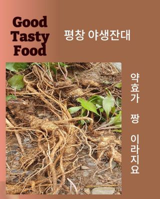 인생은 소풍처럼님의 작성글 사진