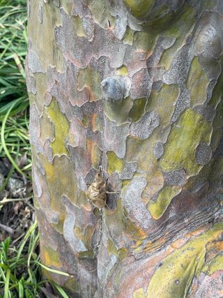 김똘숙님의 농사, 무엇이든 물어보세요! · 참여글 작성글 사진