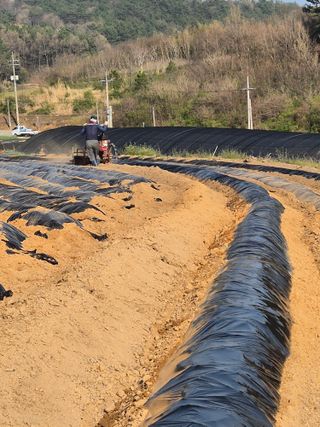 김영진(전남영광)님의 자유주제 · 자유게시판 작성글 사진