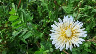 이정운님의 자유주제 · 자유게시판 작성글 사진