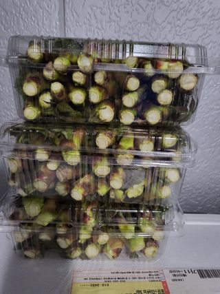 문보라님의 작성글 사진