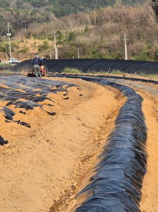 김영진(전남영광)님의 자유주제 · 자유게시판 작성글 사진