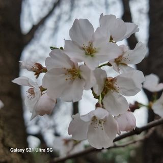 이천산수유님의 자유주제 · 자유게시판 작성글 사진