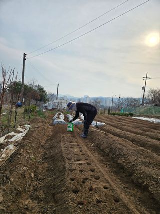 조정숙(1955)님의 자유주제 · 자유게시판 작성글 사진