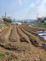 팜모닝 자유주제·자유게시판 게시글 이미지