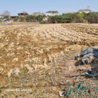이천산수유님의 자유주제 · 자유게시판 작성글 사진