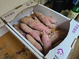 연모 자연의행복님의 자유주제 · 자유게시판 작성글 사진