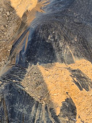 김영진(전남영광)님의 자유주제 · 자유게시판 작성글 사진