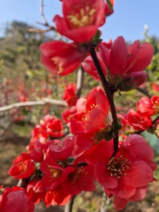 김재열님의 자유주제 · 자유게시판 작성글 사진